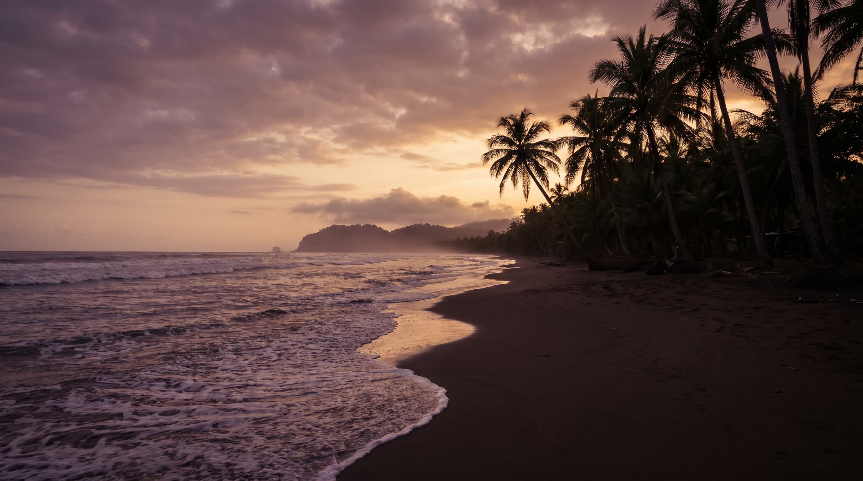 Jaco beach at sunset with palm-tree silhouettes