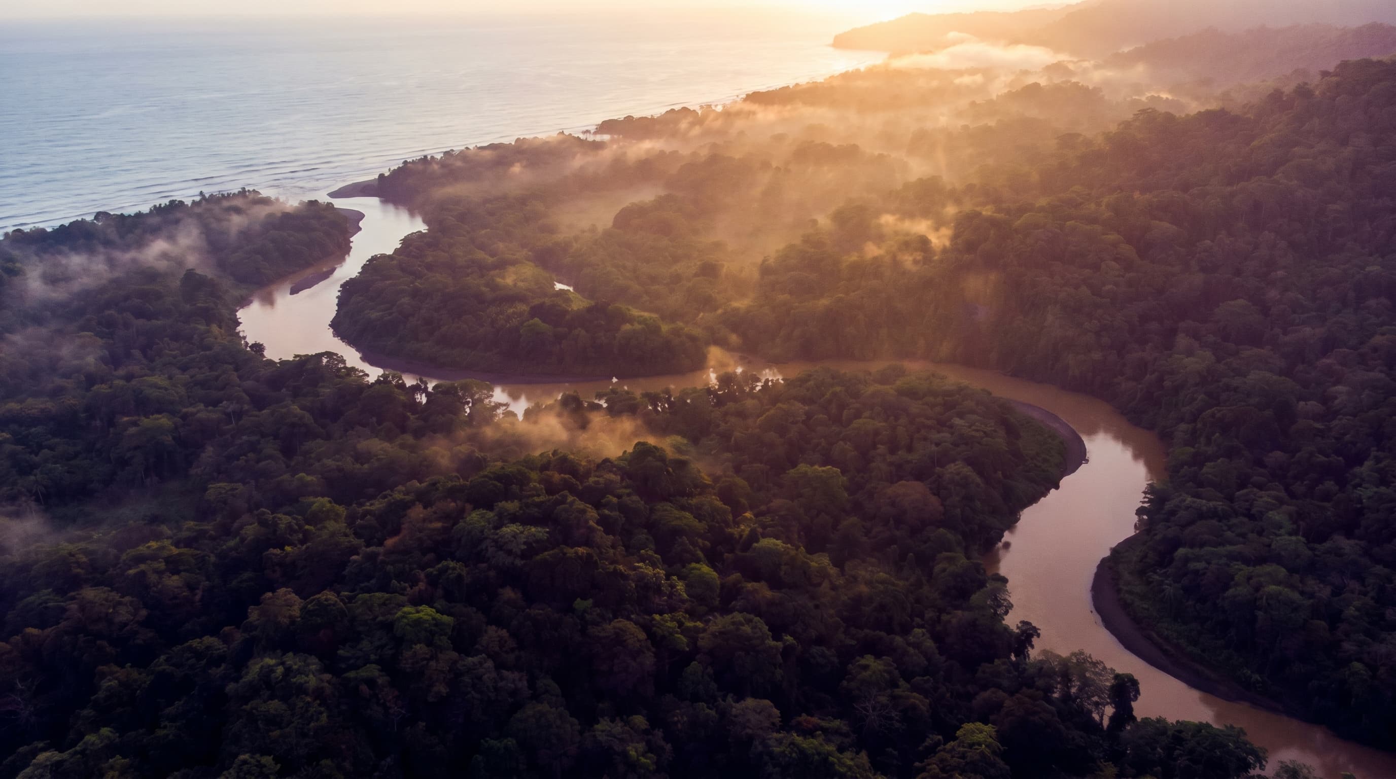Aerial of the Osa Peninsula rainforest meeting the Pacific